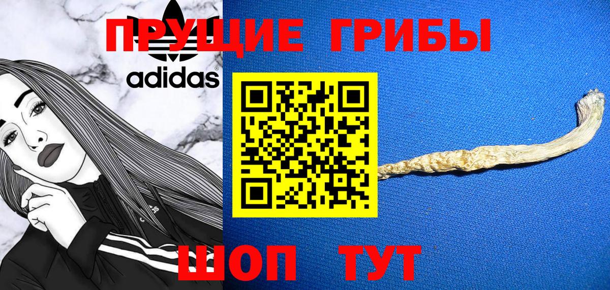 Канск  Галлюциногенные грибы прущие грибы  Вход с VPN 